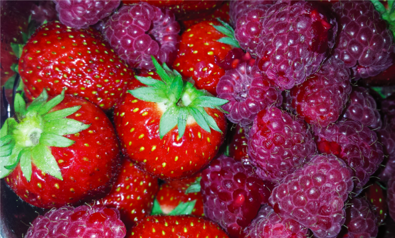 Sammlung mit Himbeeren und Erdbeeren