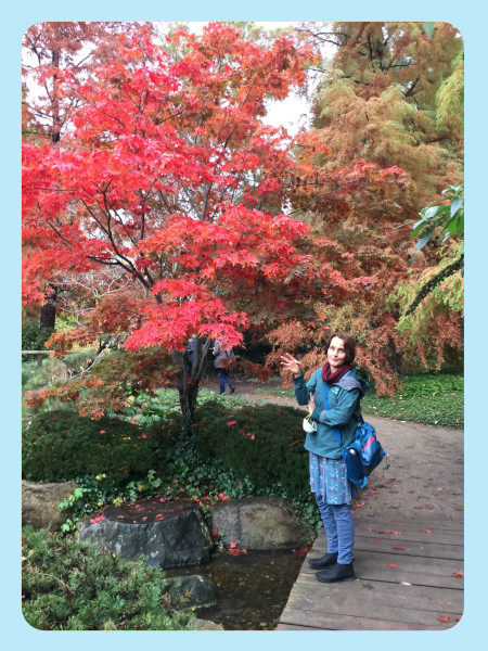 Laub im Herbst in rot