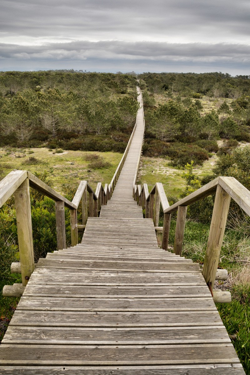 Himmel vor Wald mit Weg
